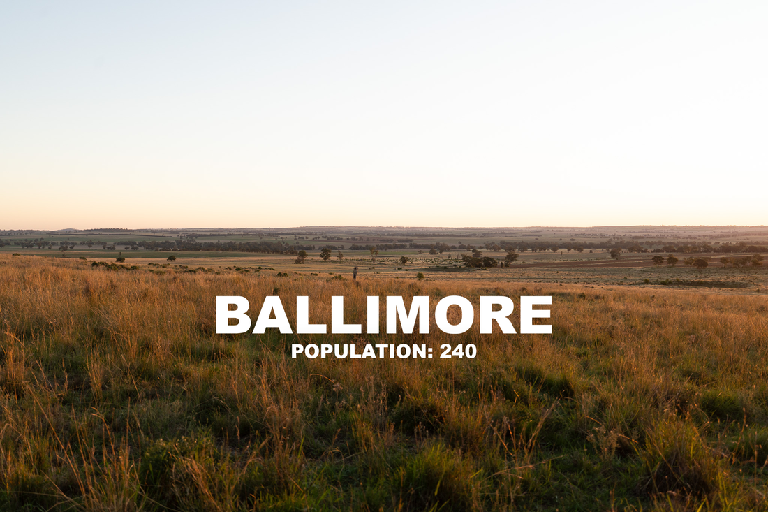 The Ballimore Wipeout (Fox & Kangaroo Control)